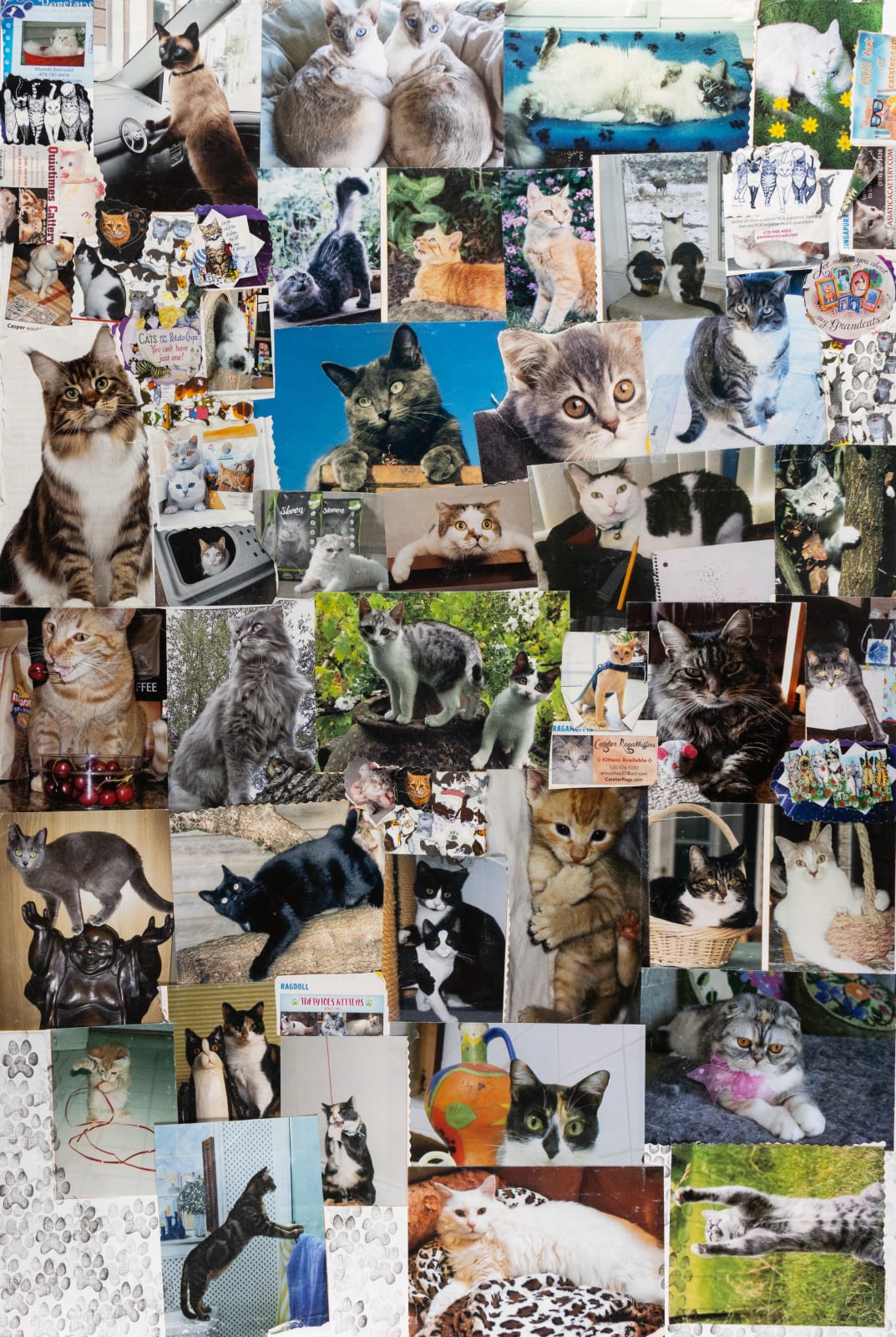 Carol Pyes, Cat Collage 3, 2021