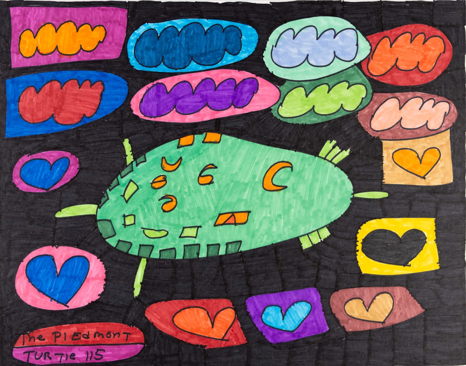 Maria Vanik, The Piedmont Turtles , 2021