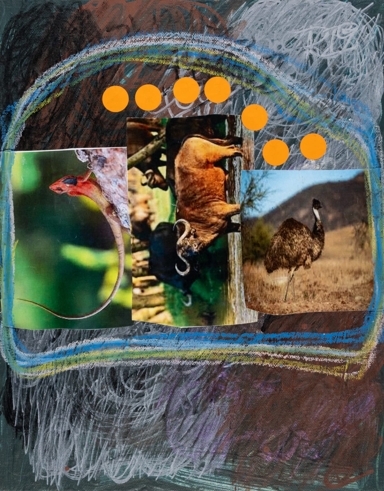 Lawrence M., Orange Male African Buffalo Caper, 2025