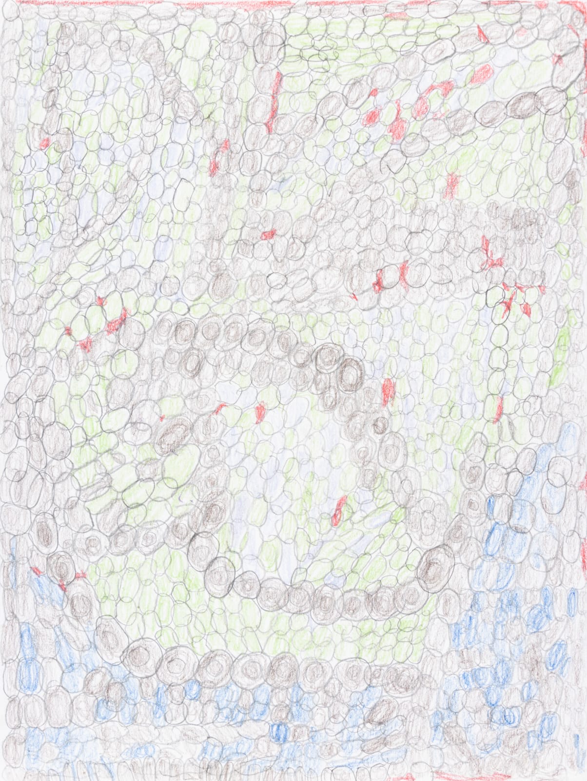 Lucy Walsh, Camilla, 2025