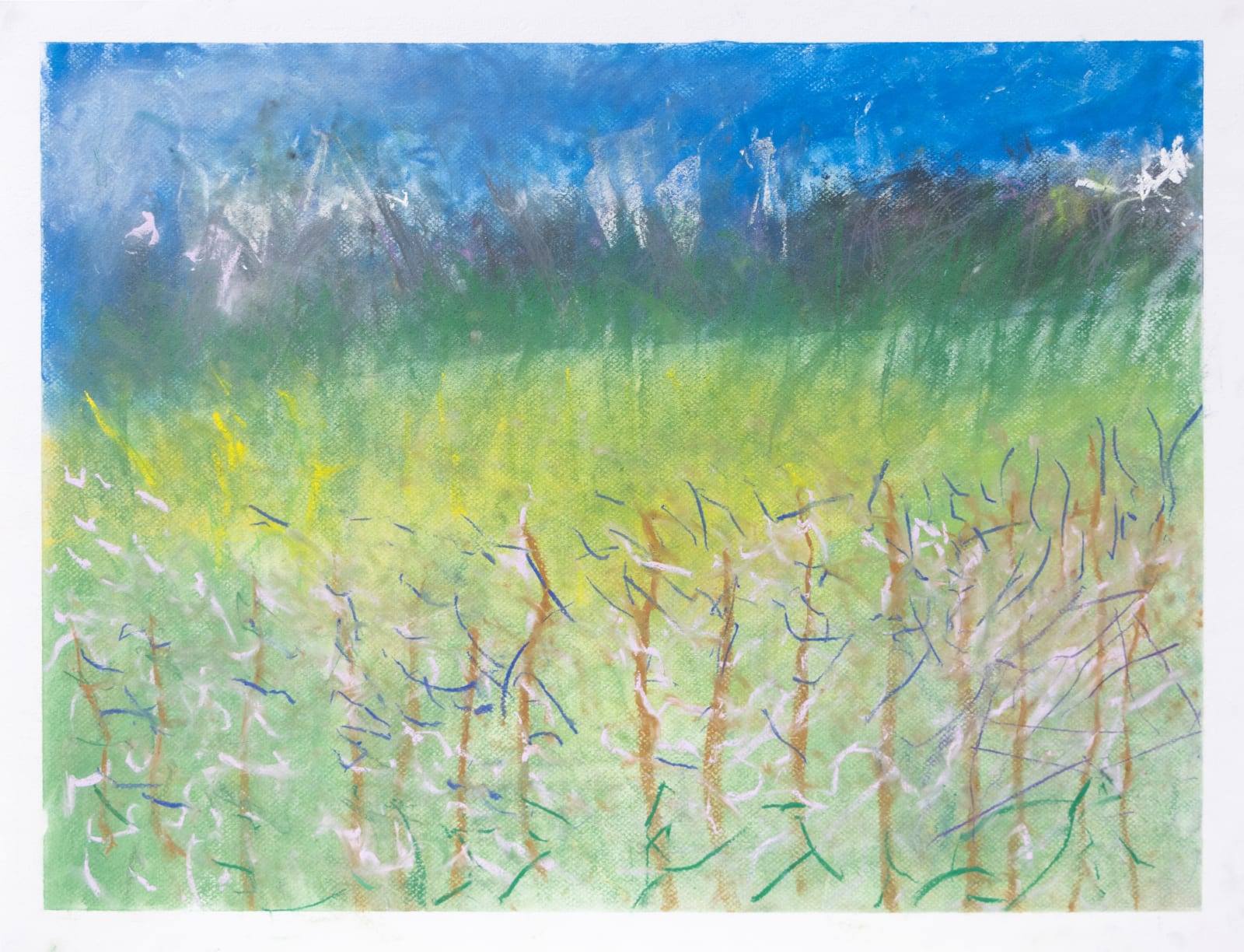 Chris Viau, Spring Flowers in the Mountains , 2023