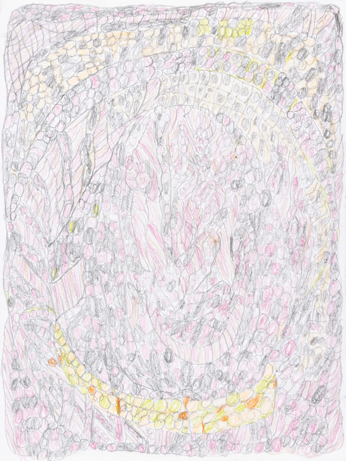 Lucy Walsh, Love & Sweet, 2025