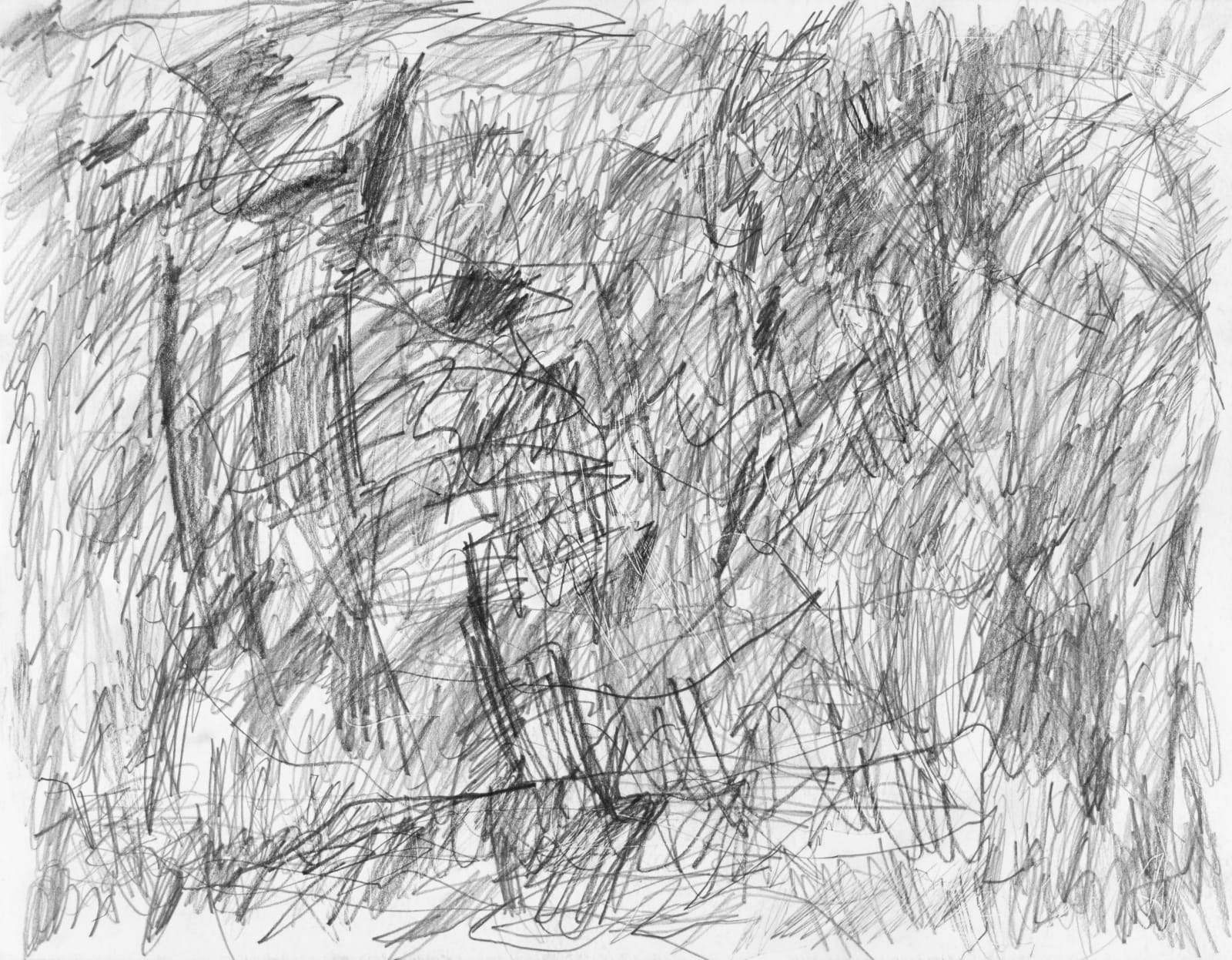 Sam Filicky, Graphite , 2024