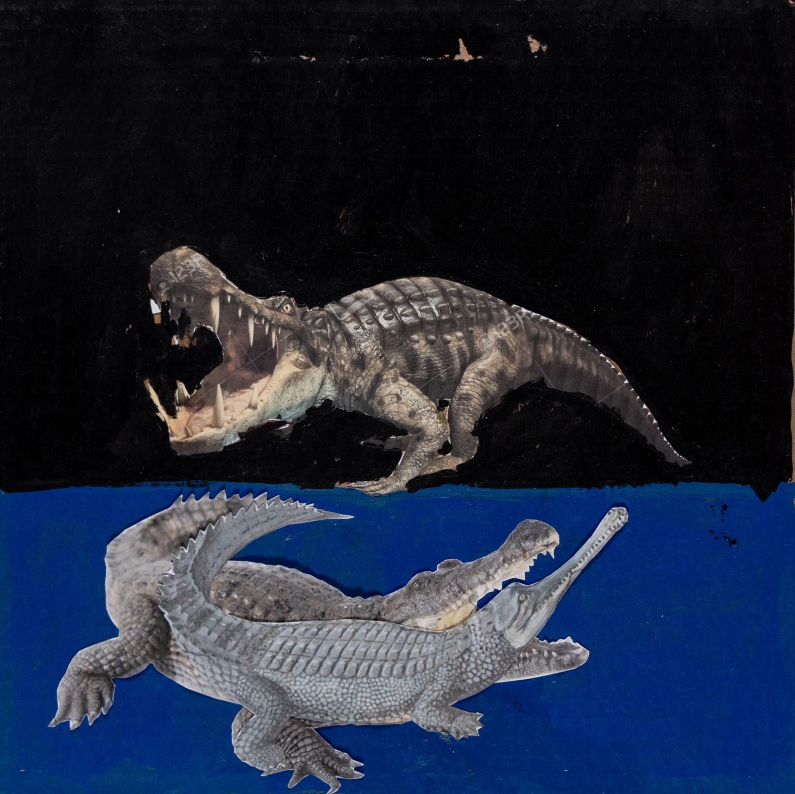 Jean Wilson, Gator Going in the Water, 2022