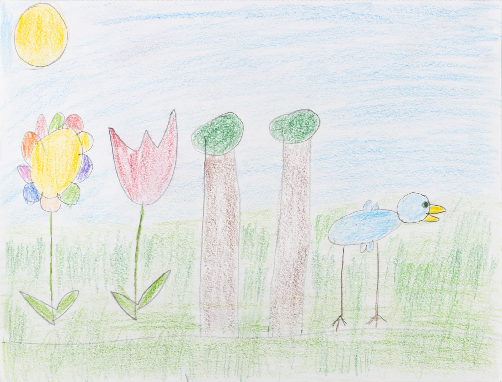Carol Pyes, Flowers, Trees, Bird, 2020