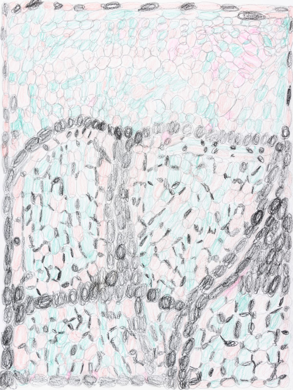 Lucy Walsh, Lexie, 2025