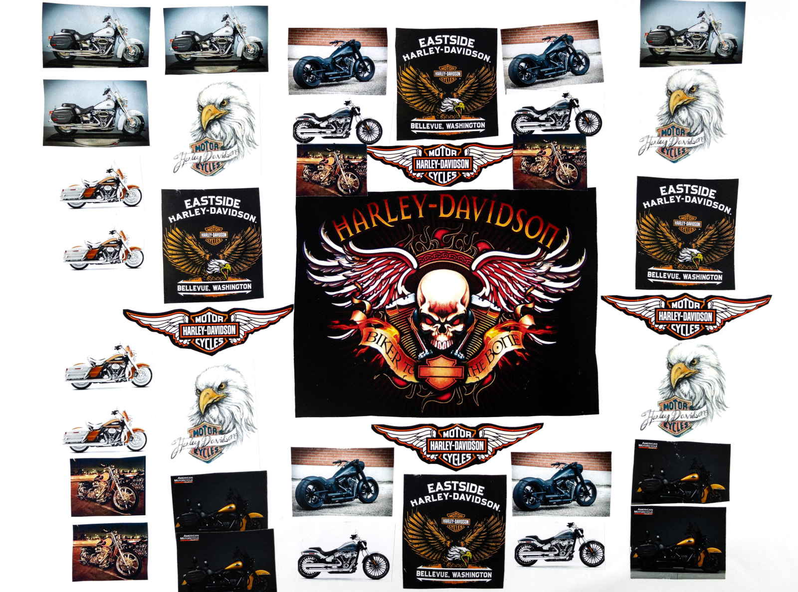 Bill Lilly, Harley - Davidson, 2024