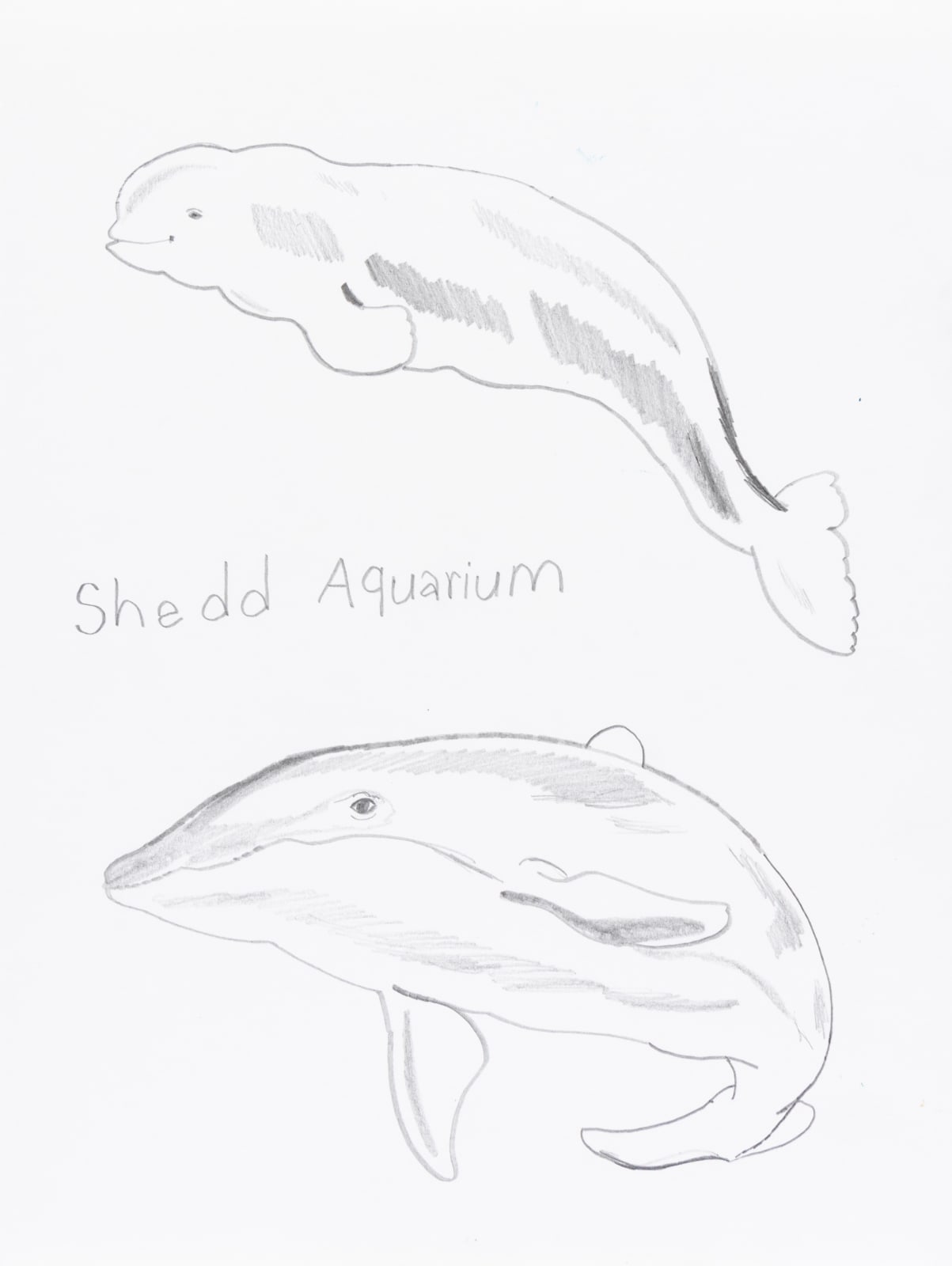 David Jarmon, Untitled, 2024