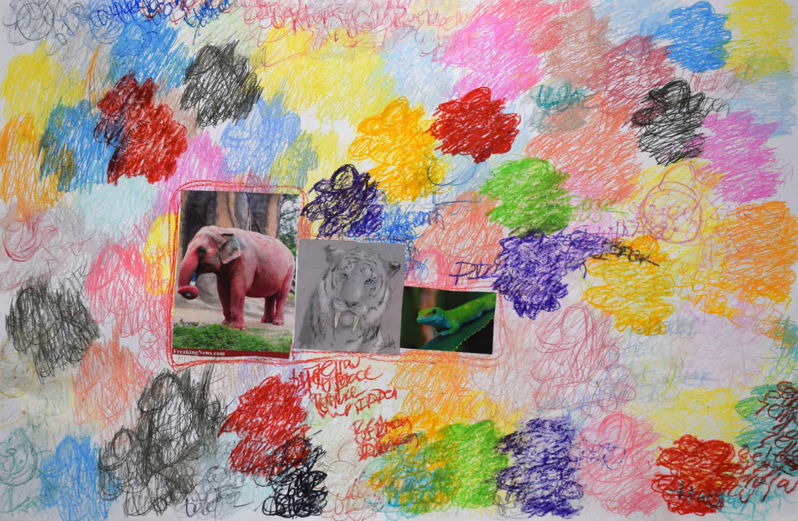 Lawrence M., Pink Asian Elephant, 2022