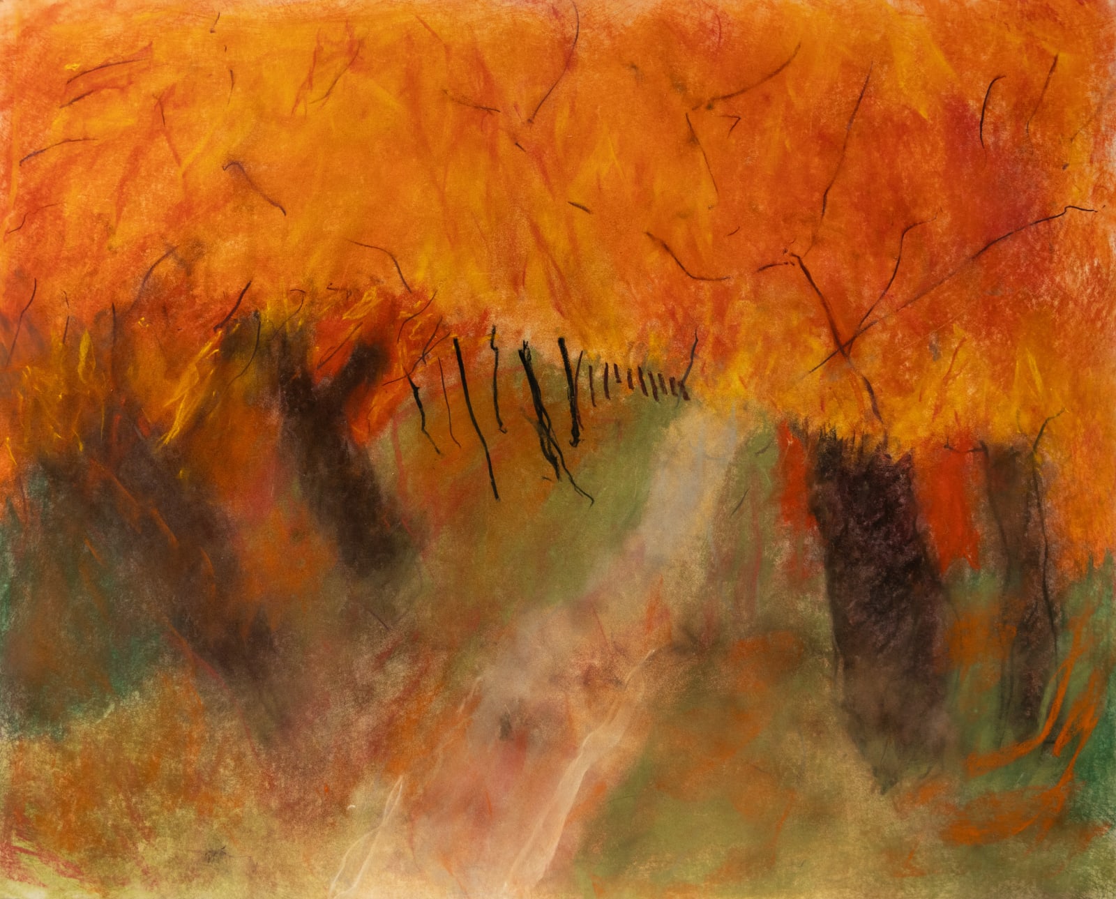 Chris Viau, Looking at all the Colors, 2019