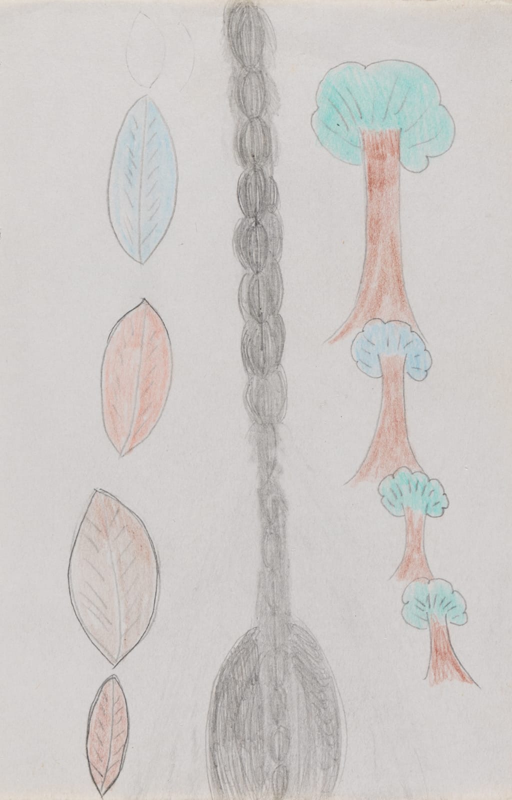 Stefan Harhaj, Untitled (Four Trees, Four Leaves), n.d.