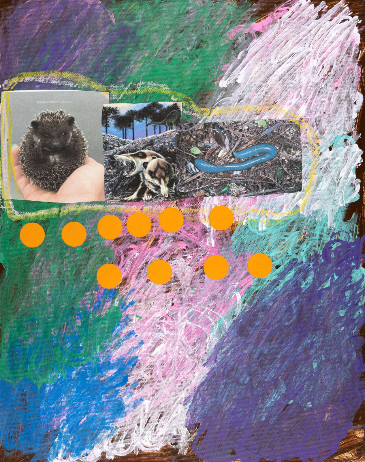 Lawrence M., Baby Black Hedgehog, n.d.