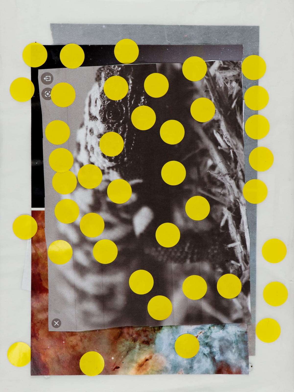 Lawrence M., Untitled (Gila Monster), n.d.