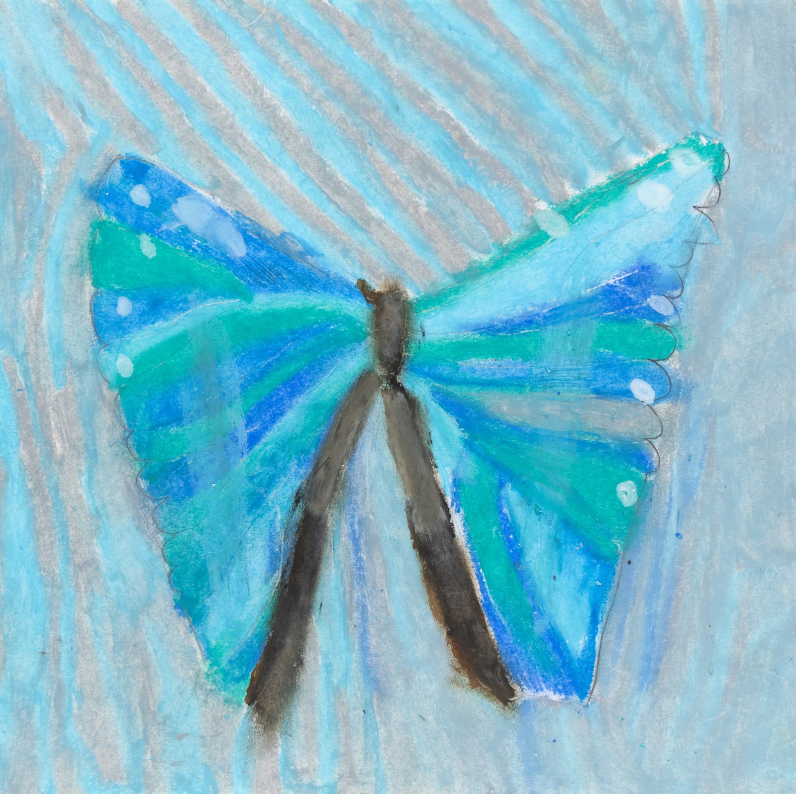Nik Heusman, Morpho Butterlfy, 2019