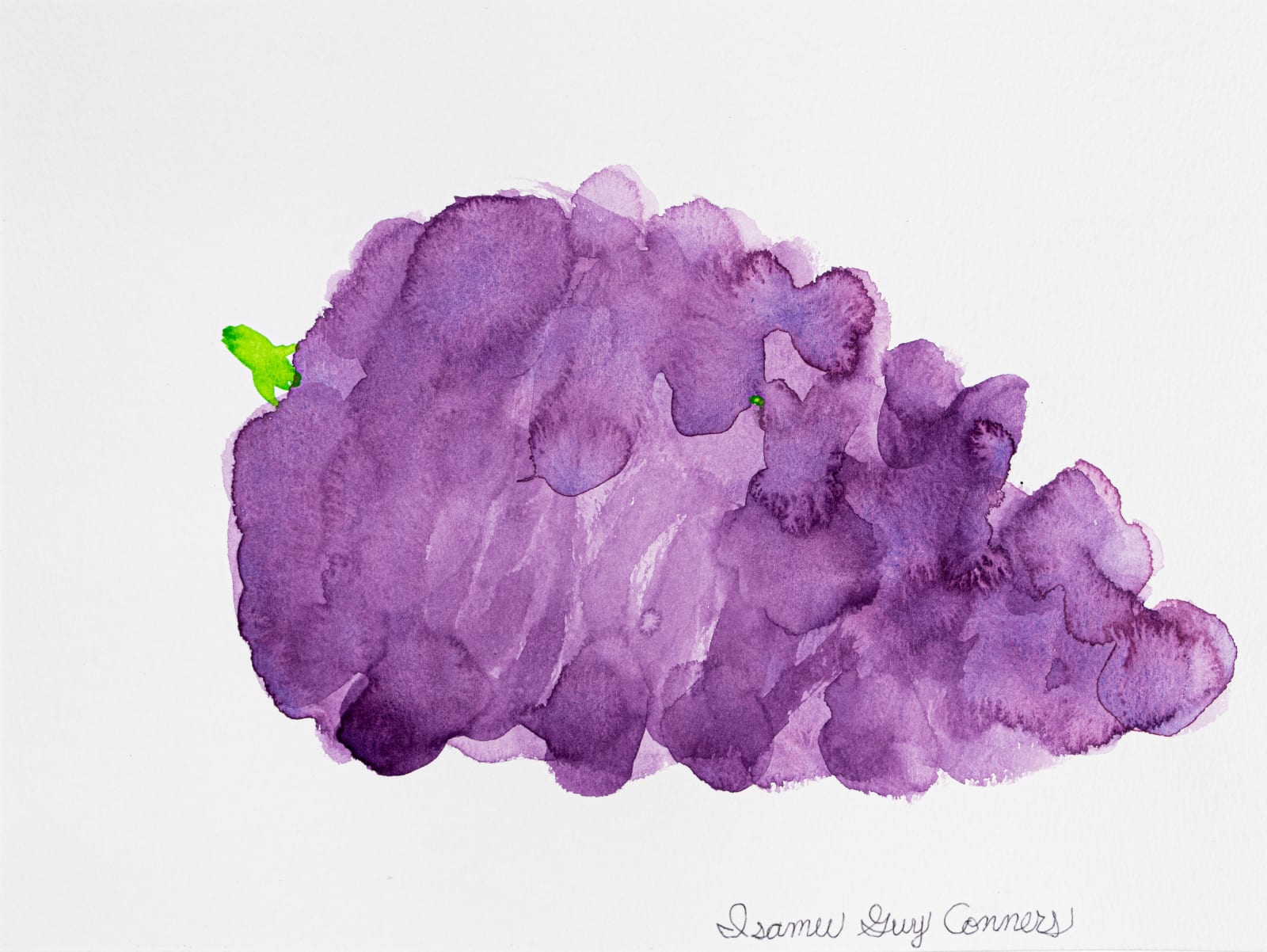 Isamu Guy Conners, Grapes, 2023