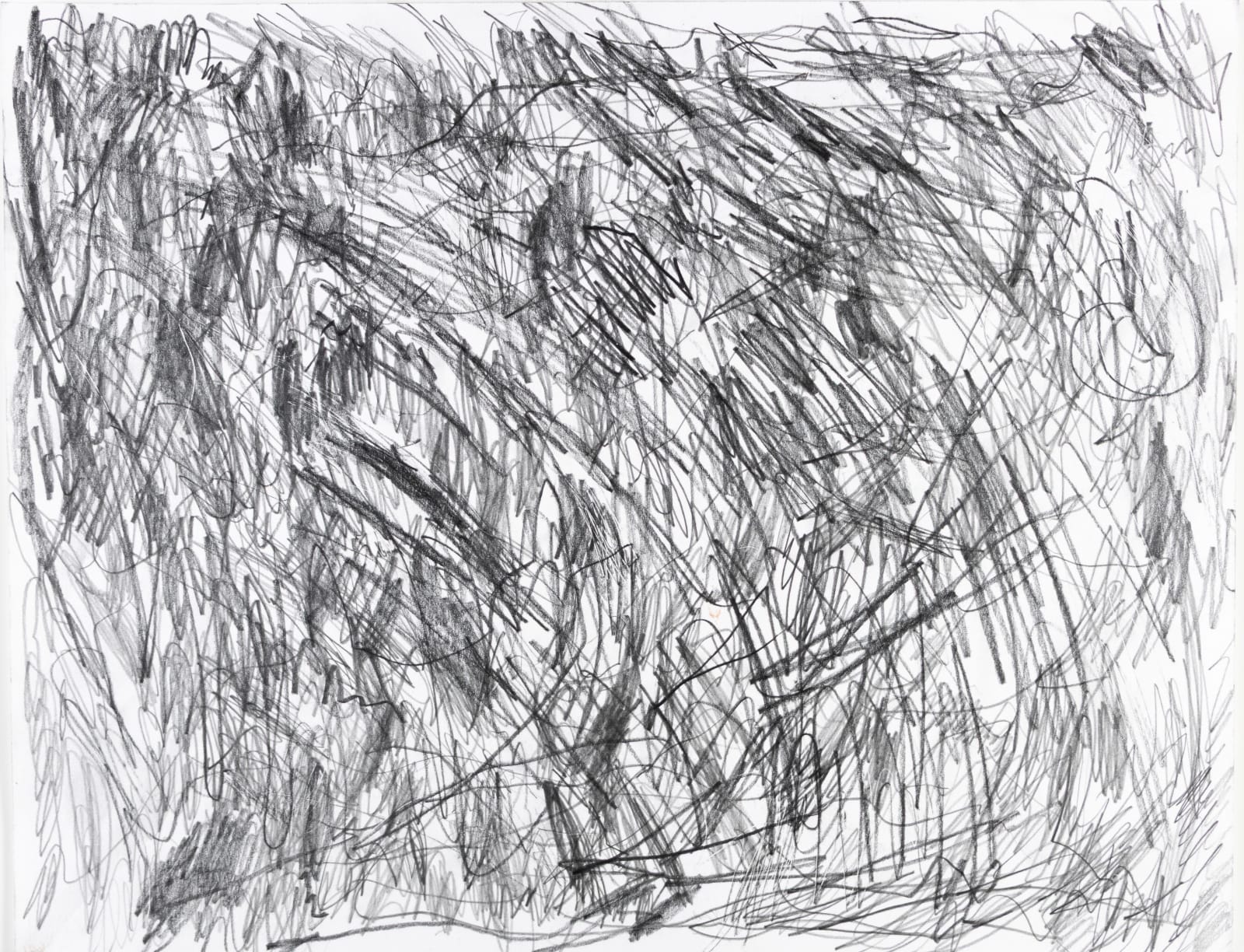 Sam Filicky, Graphite, 2024