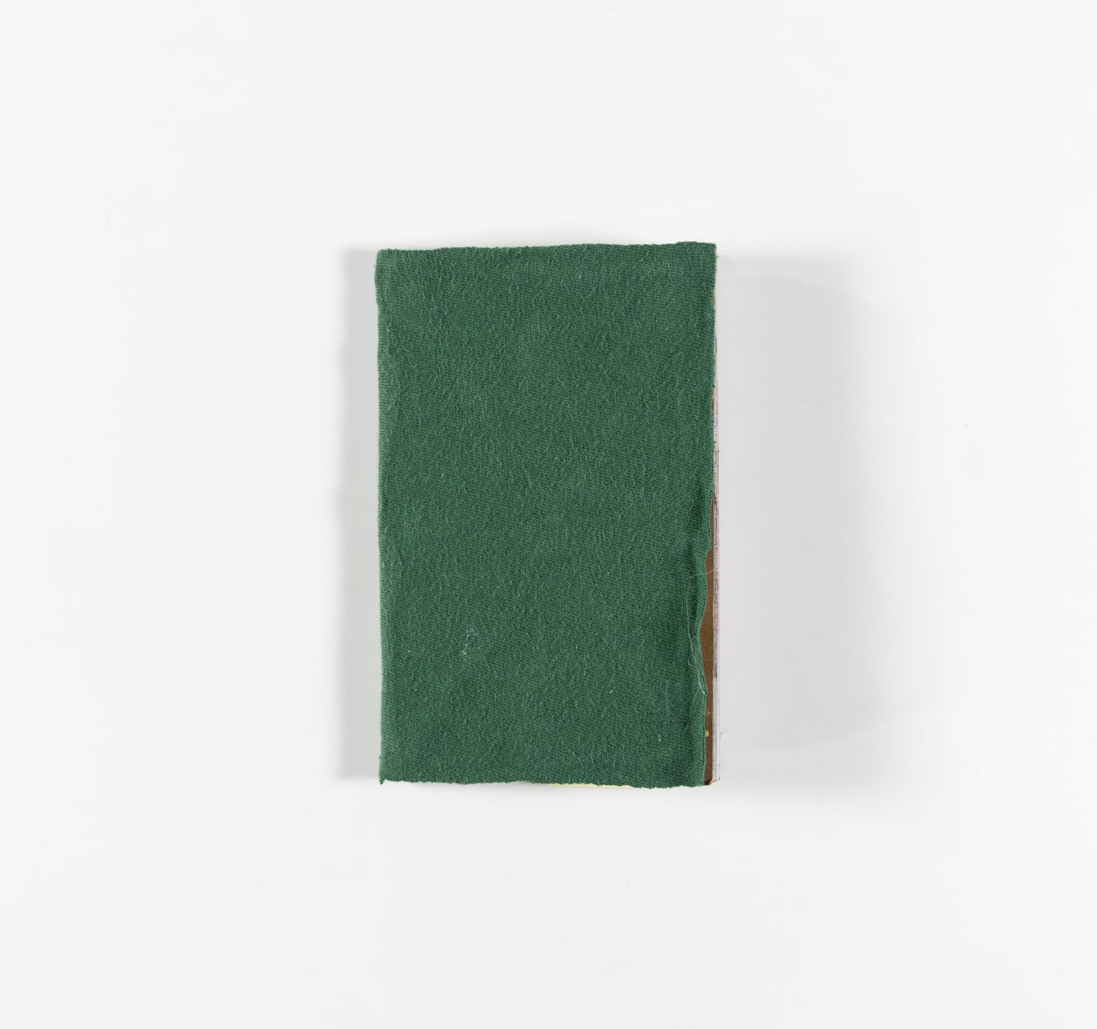 Maria Vanik, Fished in the Book and Picture, n.d.