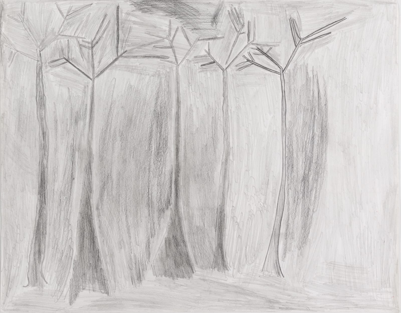 Joey Center, Trees, 2021