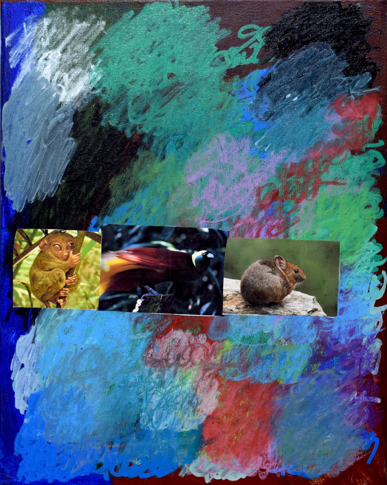Lawrence M., Rainbow of Animals, 2022