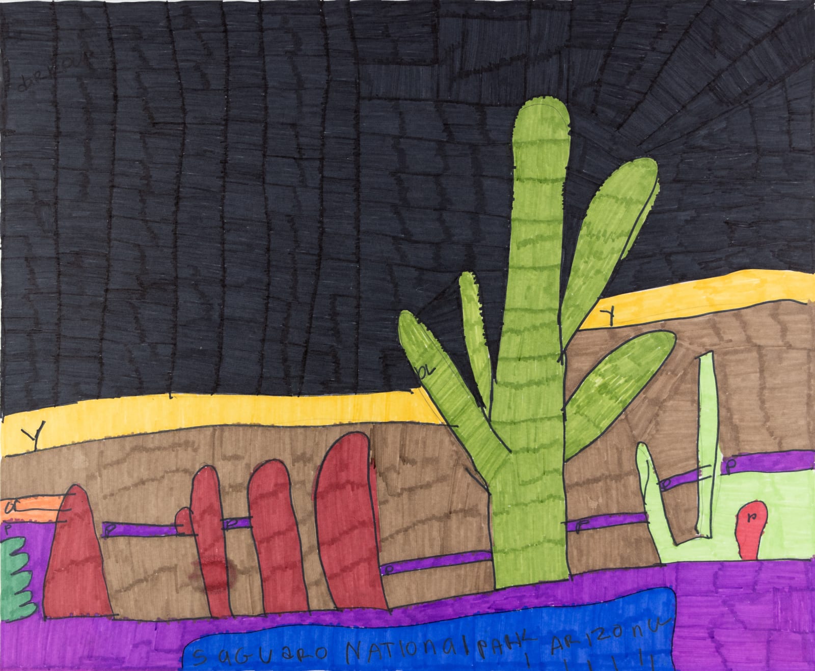 Maria Vanik, Saguaro National Park Arizona, 2023