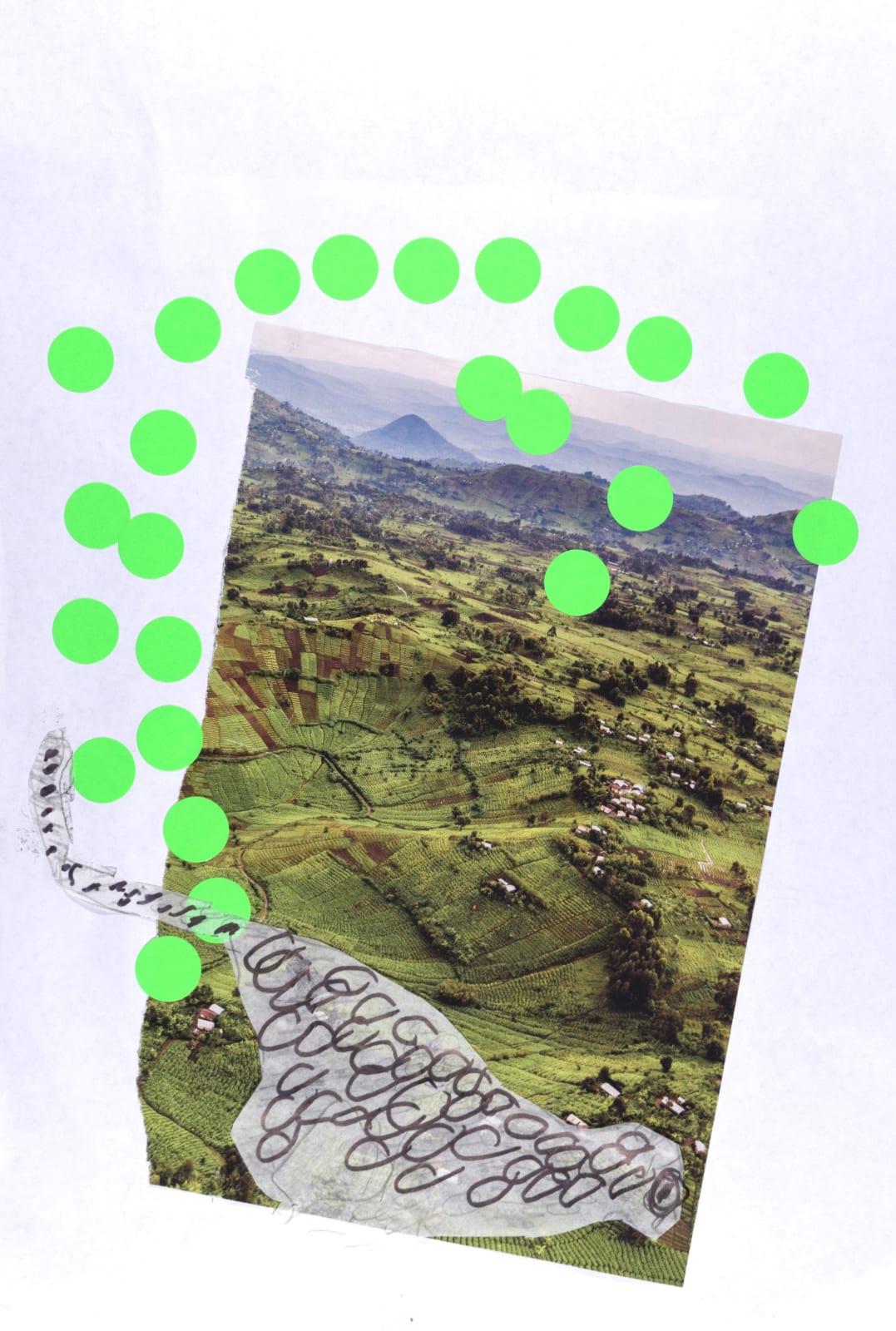 Lawrence M., Green Spots Cheetah, 2019