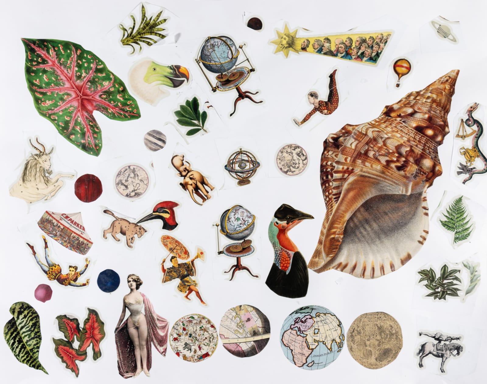 Stefan Harhaj, Ballding, 2025