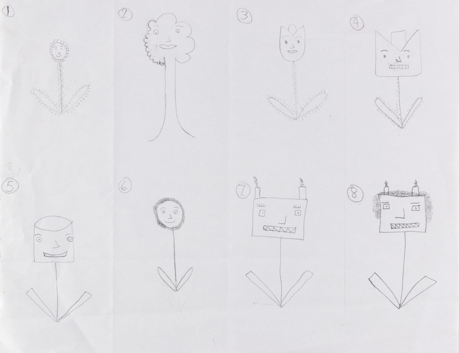 Stefan Harhaj, Untitled (Eight Smiling Plants), n.d.