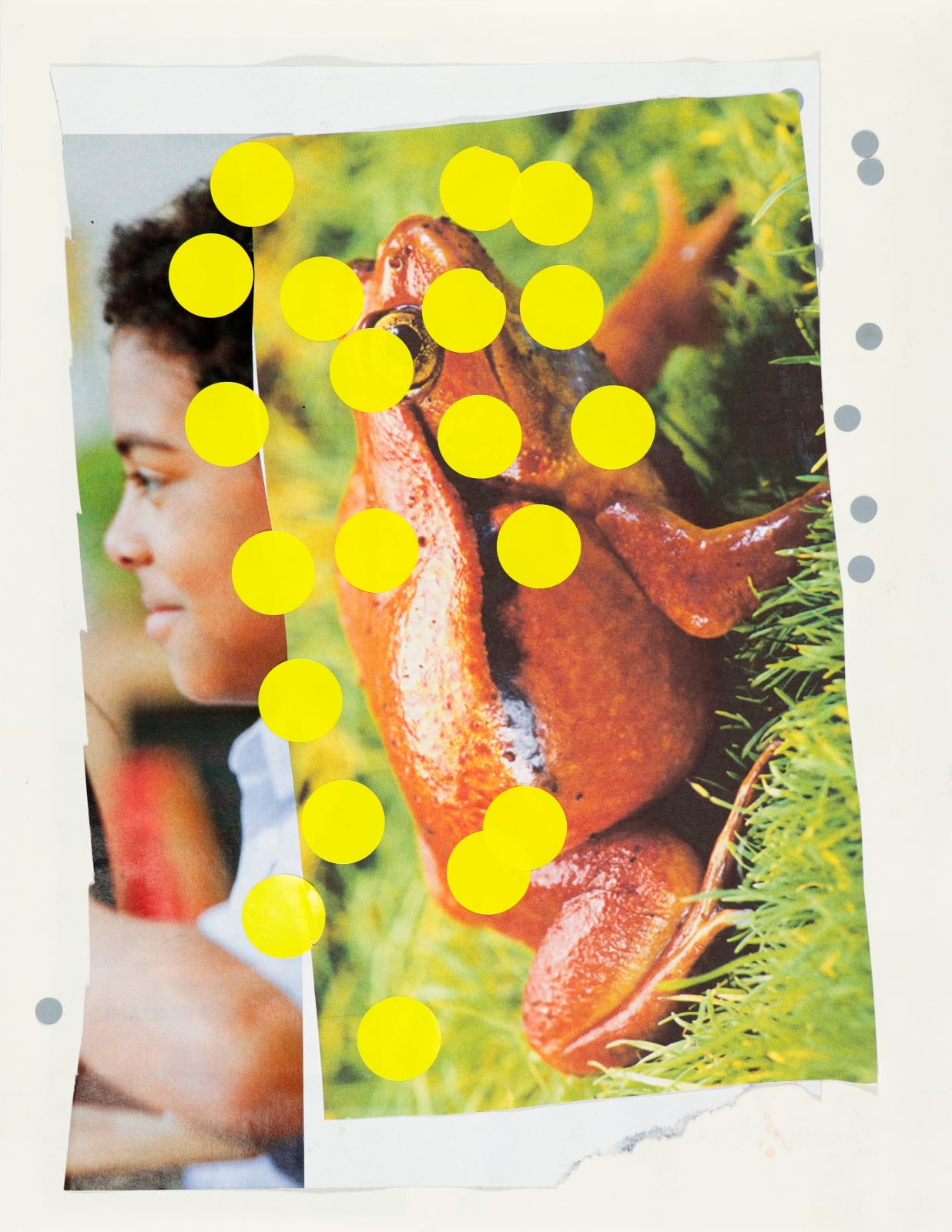 Lawrence M., Untitled (Firebelly Toad and Yellow Stickers), n.d.