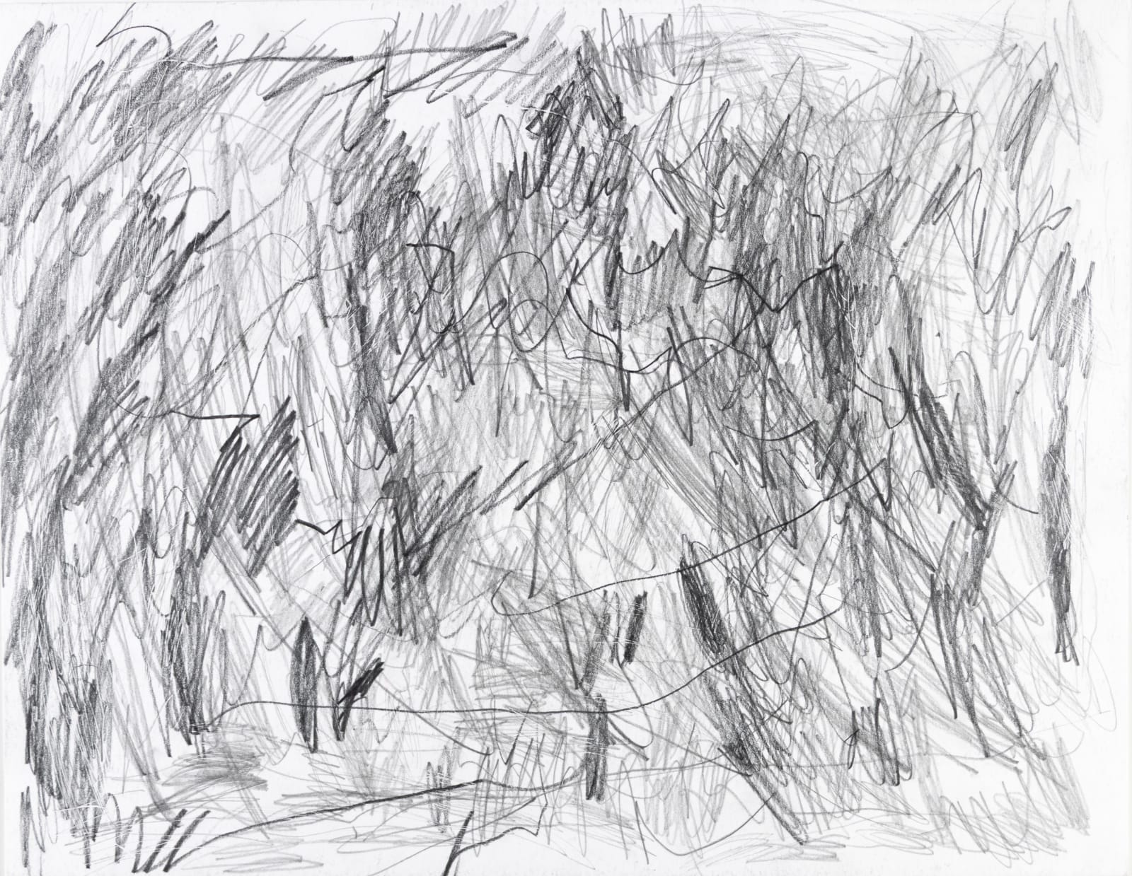 Sam Filicky, Graphite, 2024