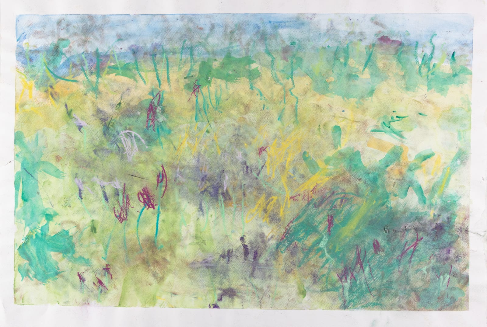 Chris Viau, Untitled (Field of Greens), n.d.