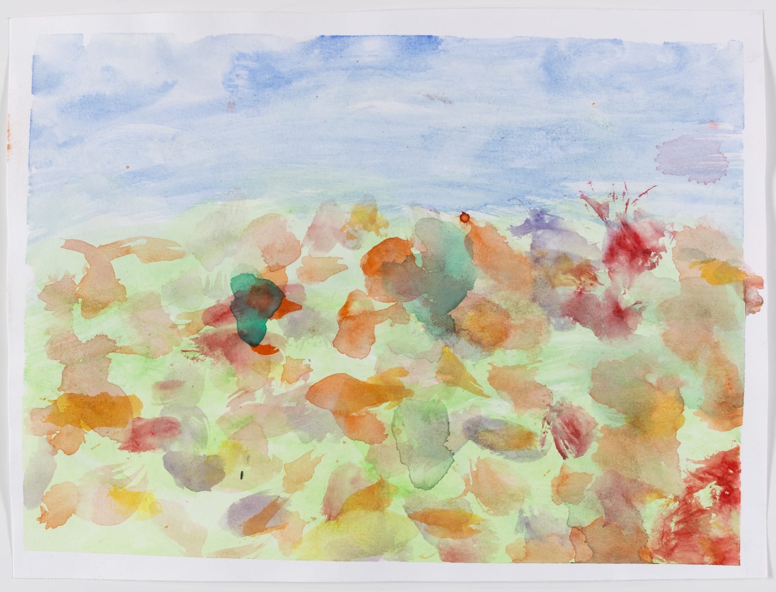 Chris Viau, Wildflowers, 2020