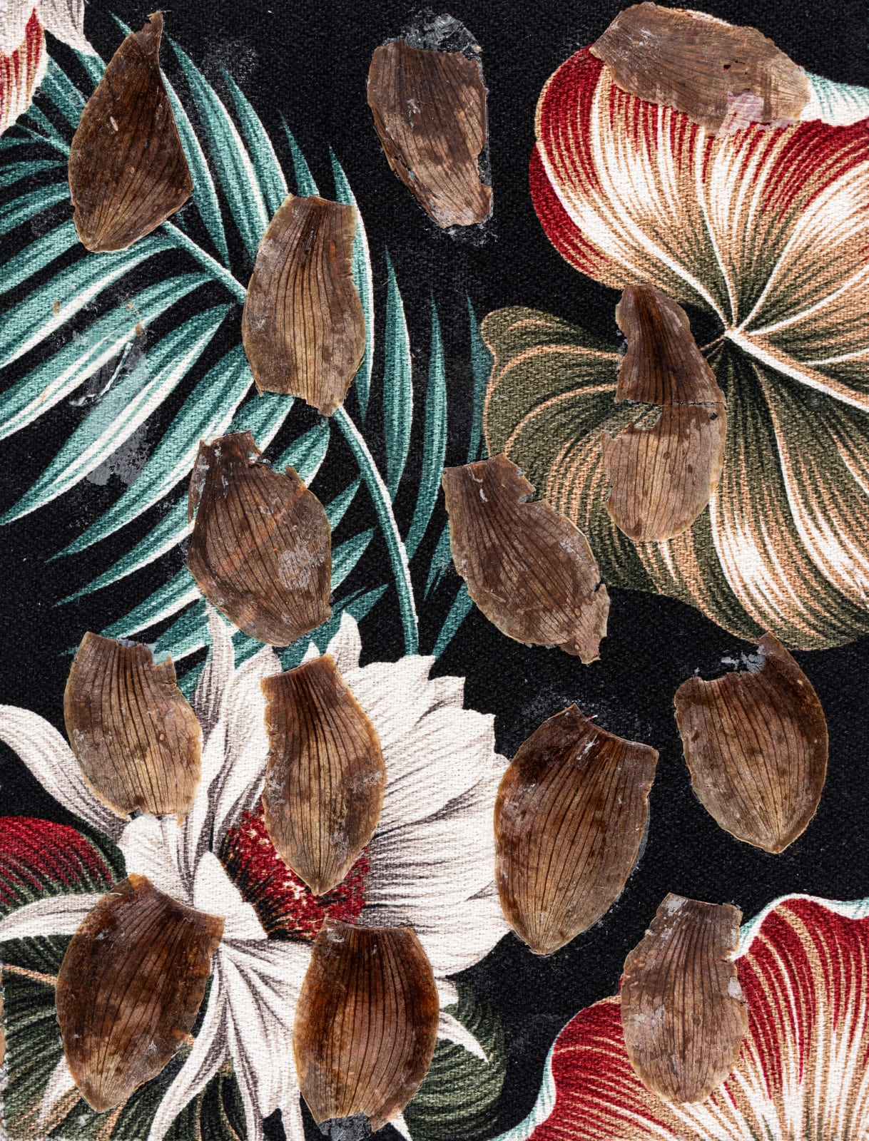 Stefan Harhaj, Petal, 2023