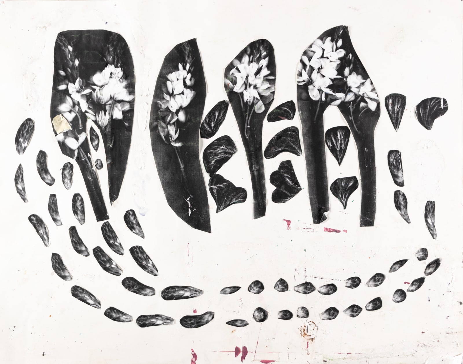 Stefan Harhaj, Copied Flowers , 2023