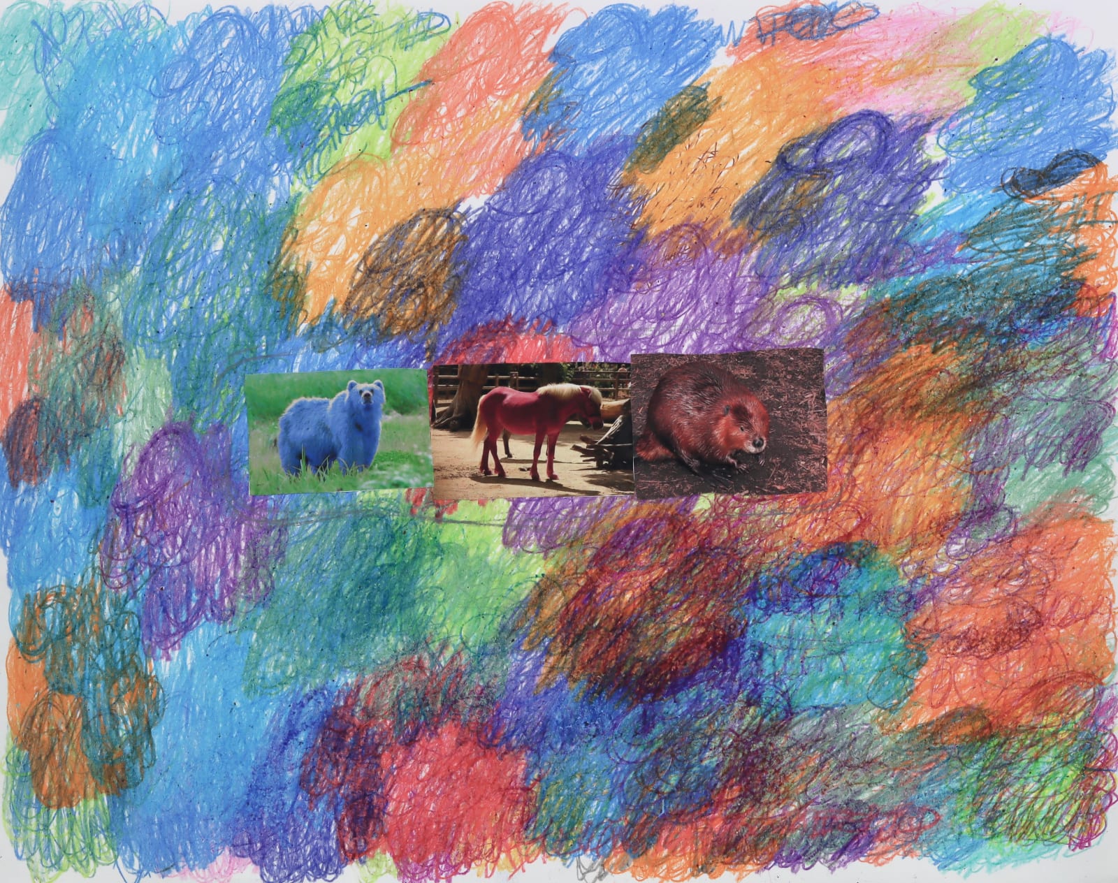 Lawrence M., The Red Beaver, 2022