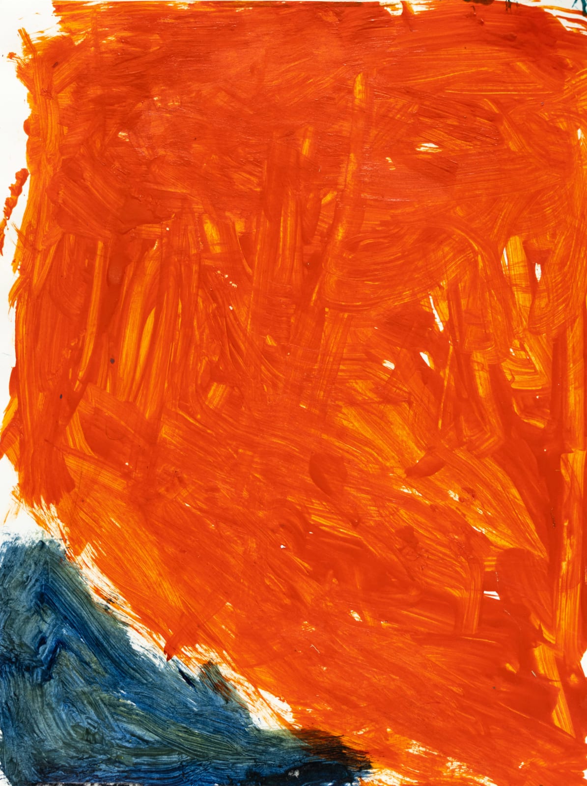 David Espinosa, California Wildfire, 2024