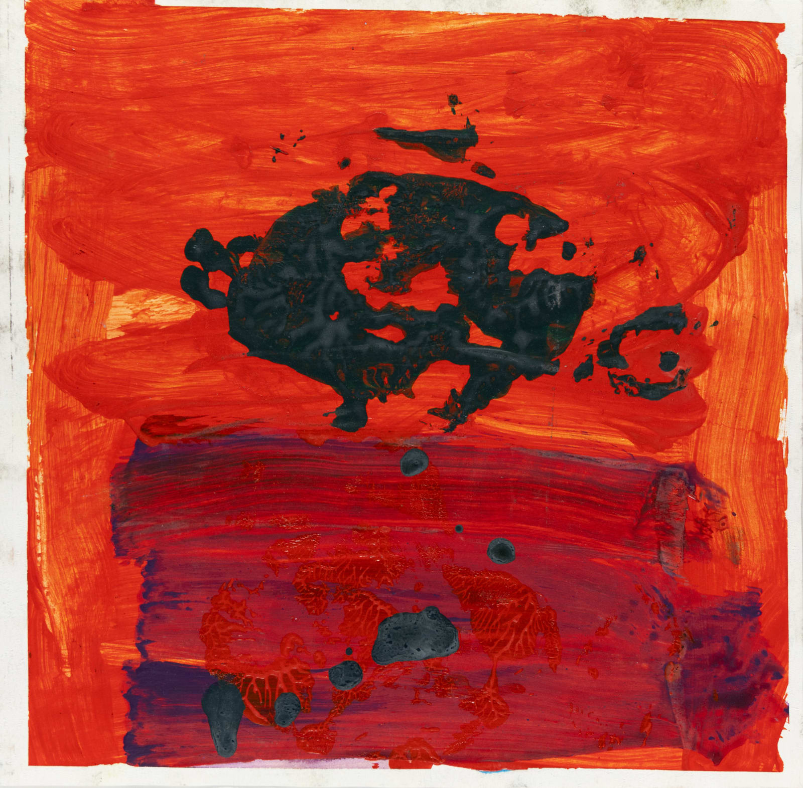 Brian Reed, 5 Fishes Swimming in the Ocean, 2016
