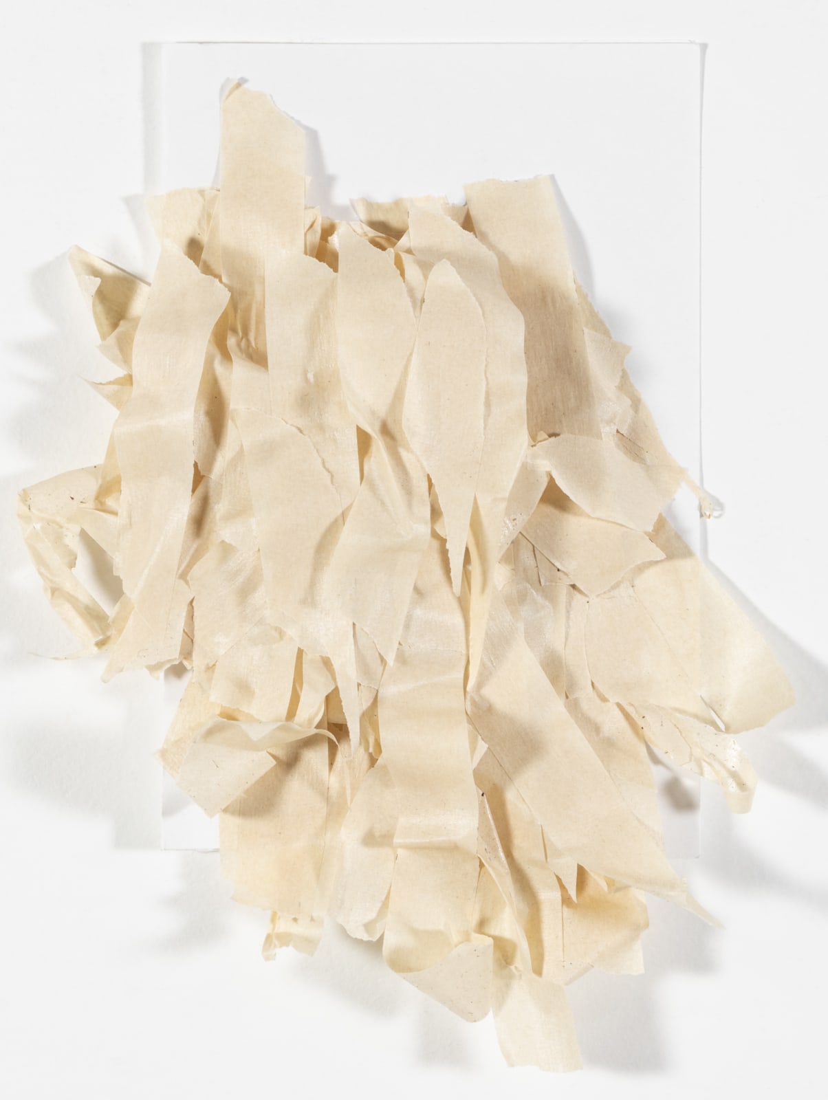 Laura McManus, Untitled, 2024