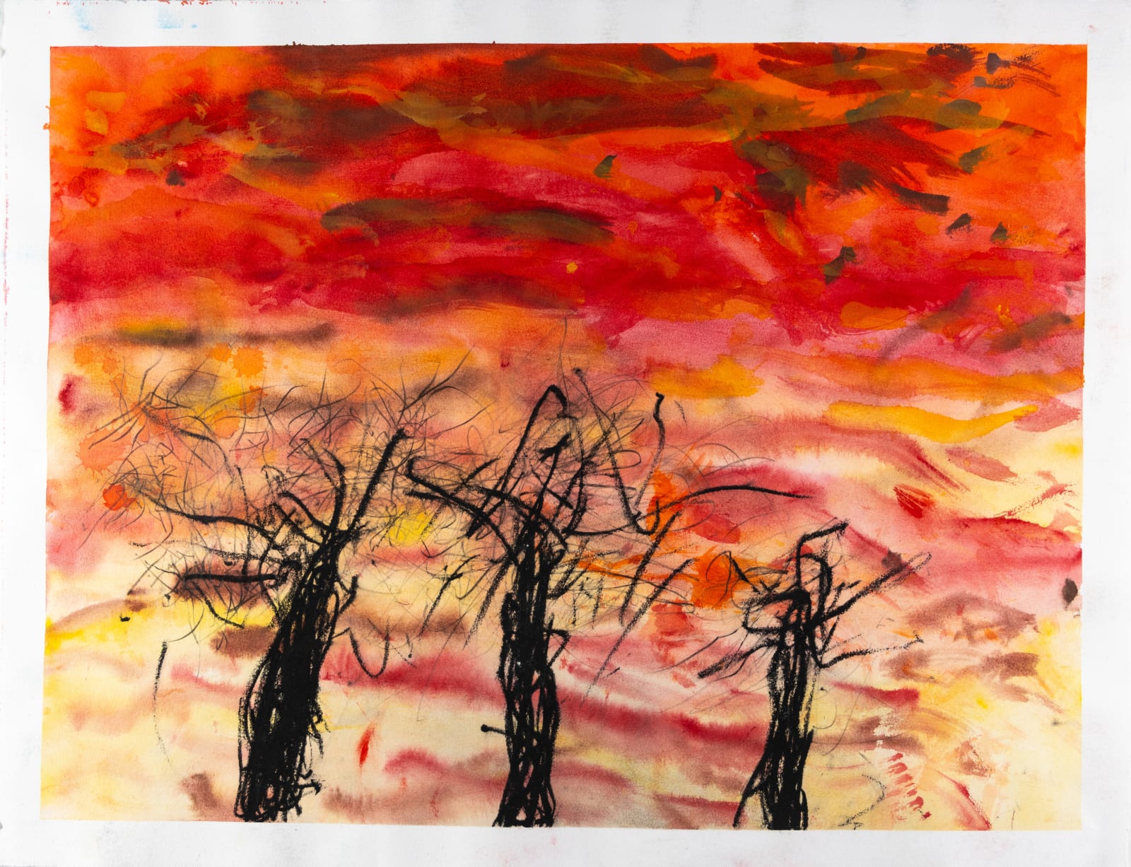 Chris Viau, Sunset in Paradise , 2024
