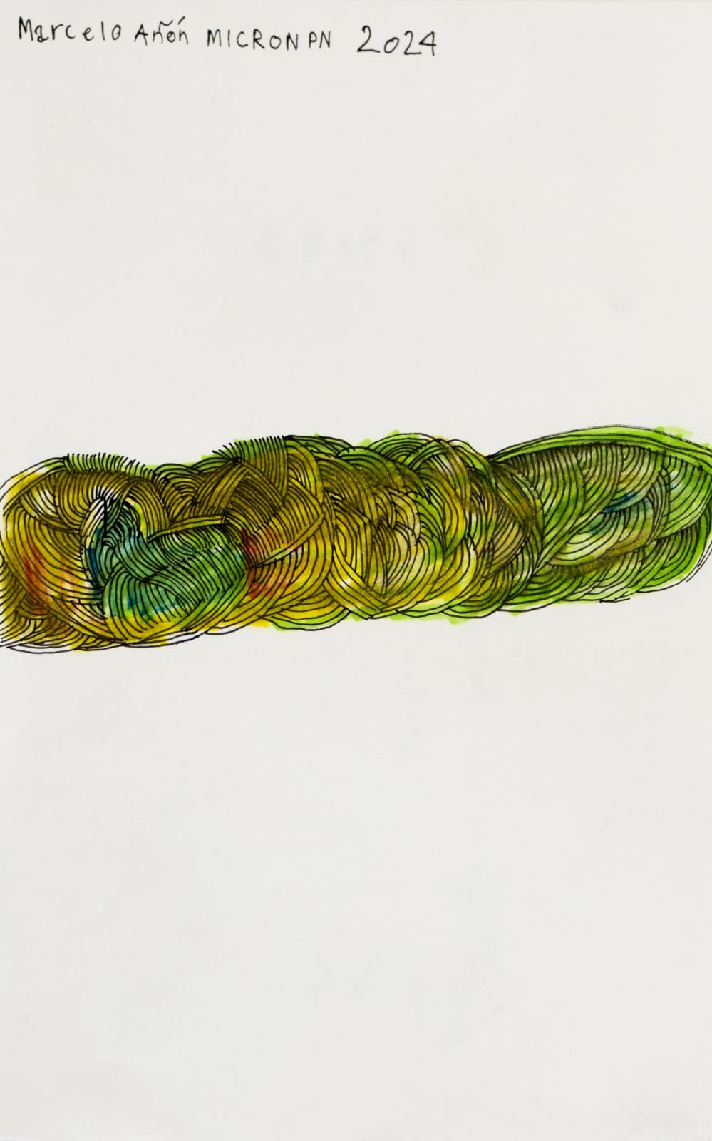 Marcelo Añón, Untitled (Mircon PN), 2024