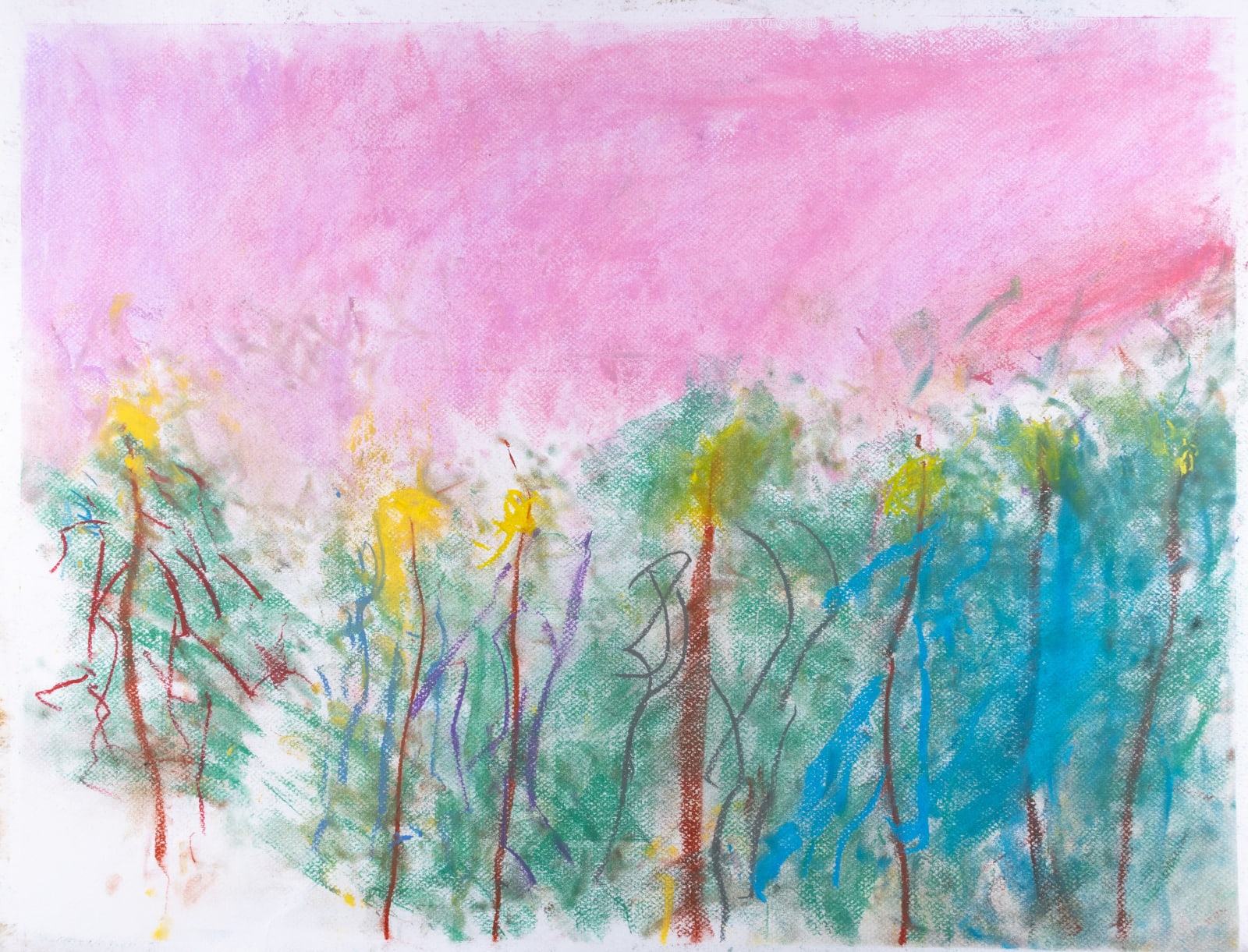 Chris Viau, Christmas Tree Woods , 2023