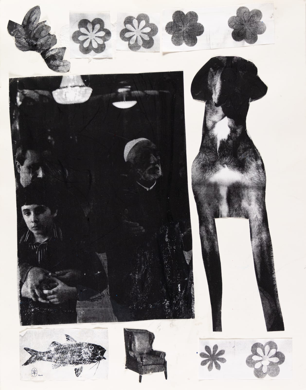 Stefan Harhaj, National Geographic Collage, 2019