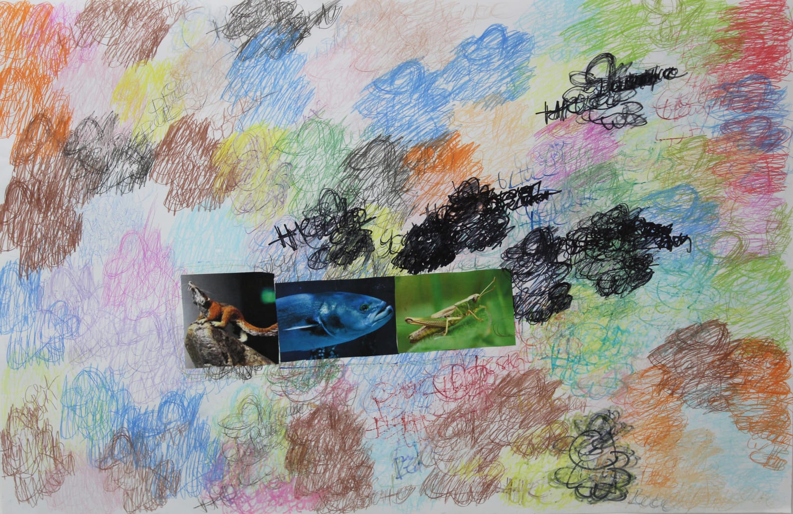 Lawrence M., Green Grasshopper, 2022