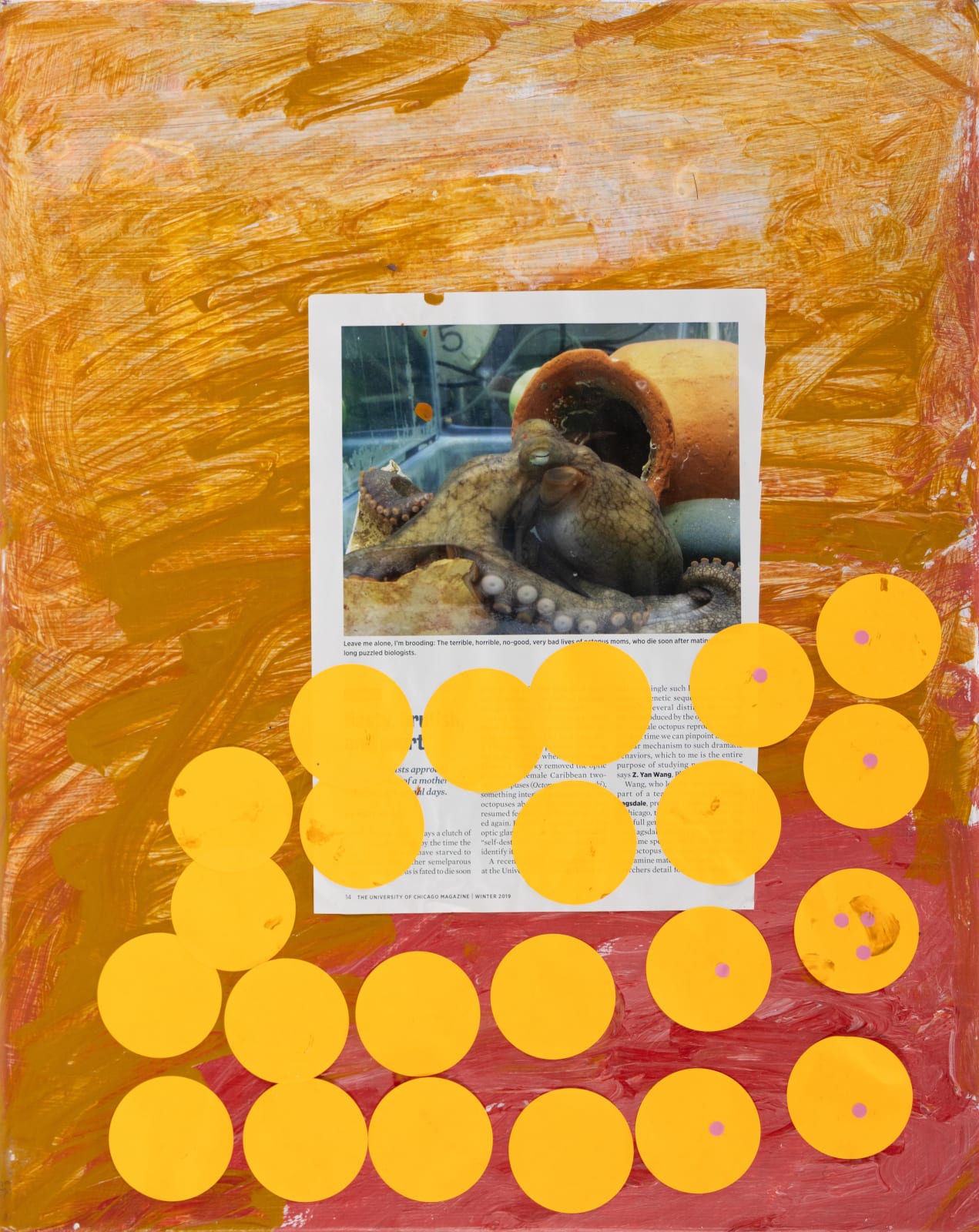 Lawrence M., Untitled (Octopus Moms), n.d.