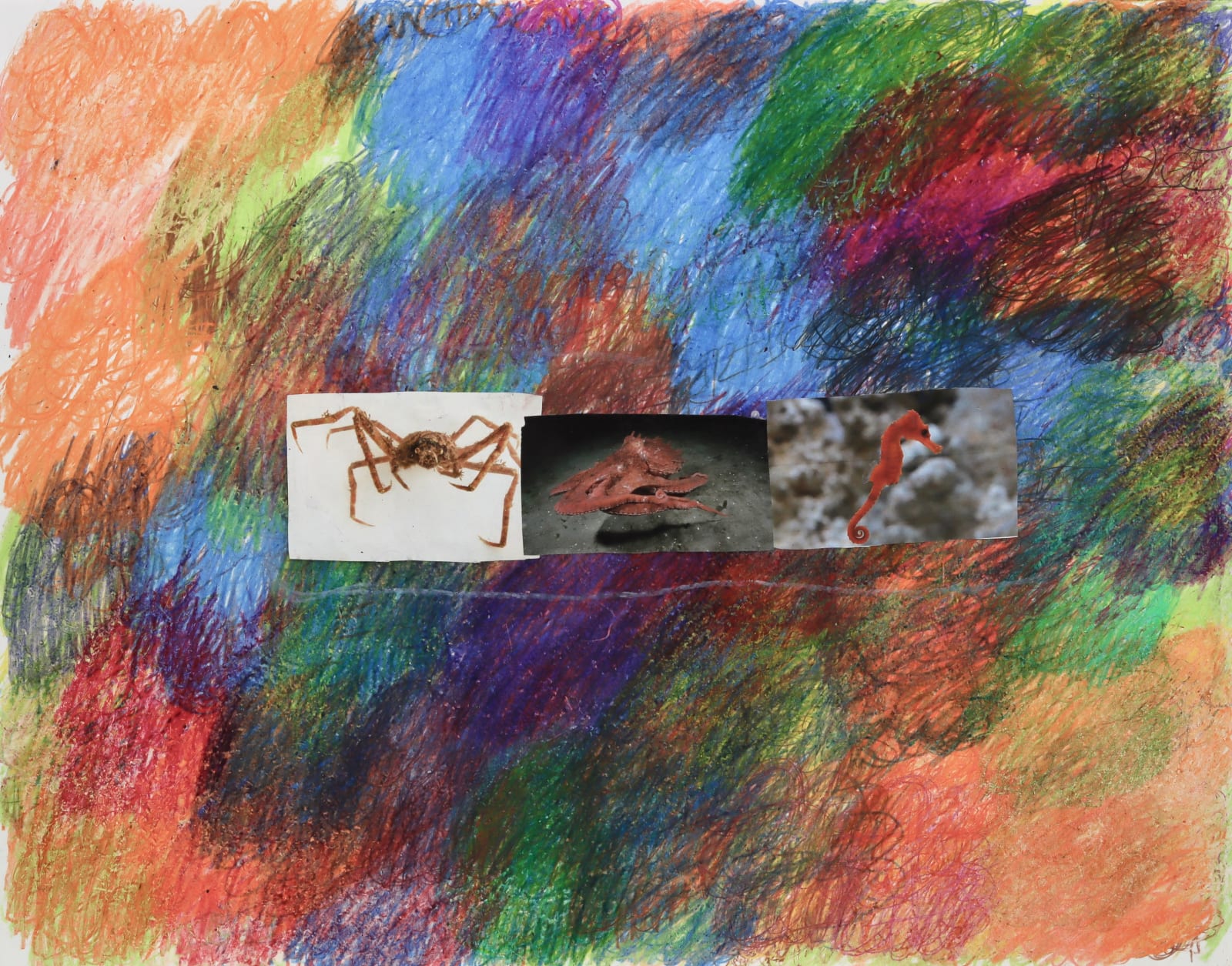 Lawrence M., Orange Sea Horse, 2022