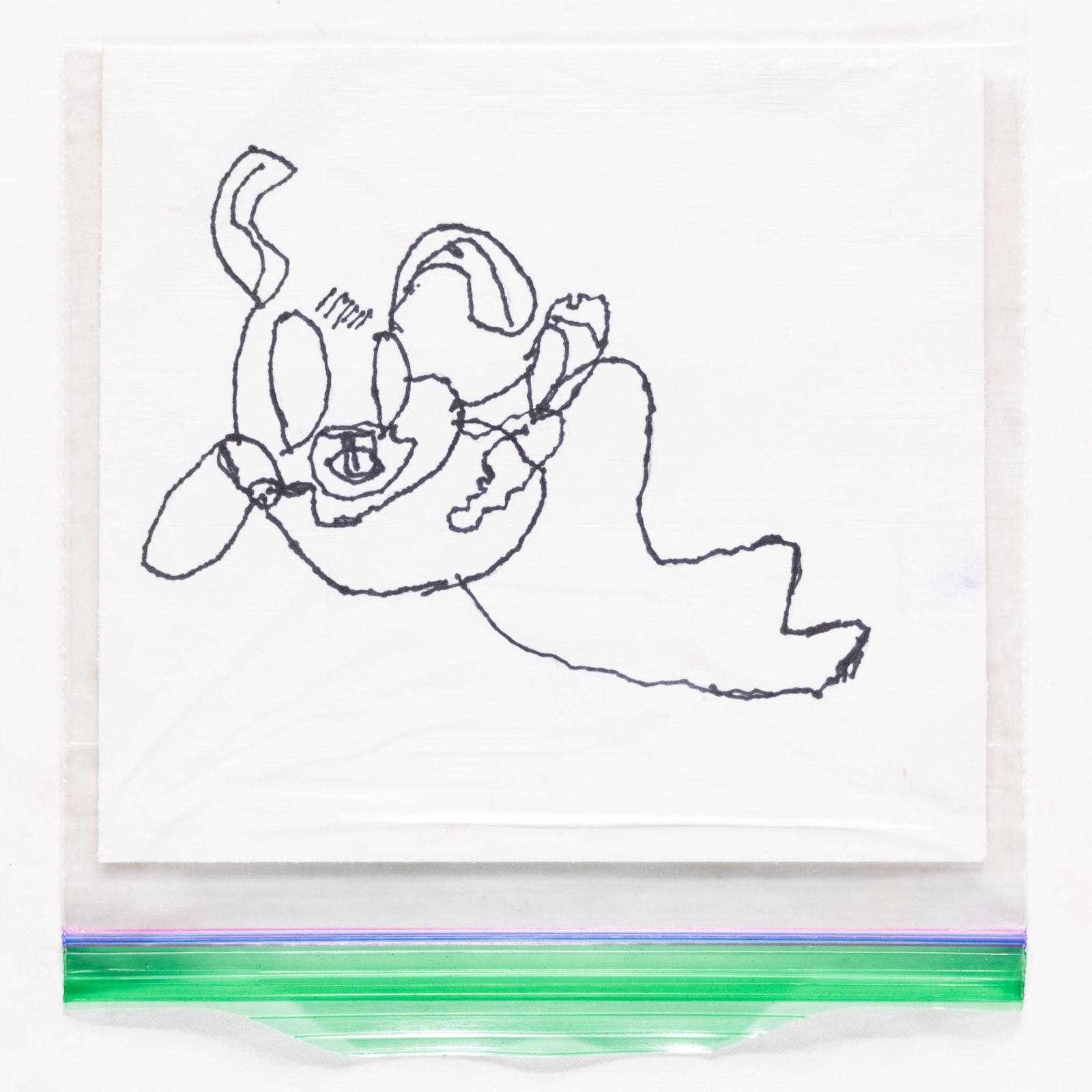 Ted Hamel, Bugs Bunny, 2017