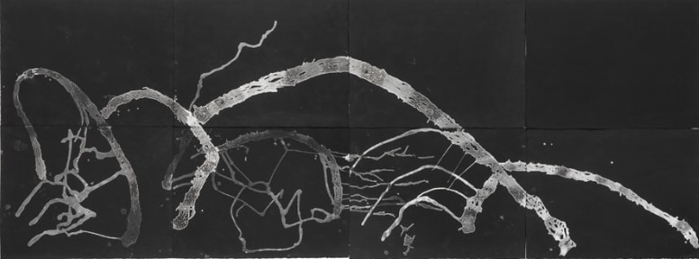 Madeline Irvine, Small Leap