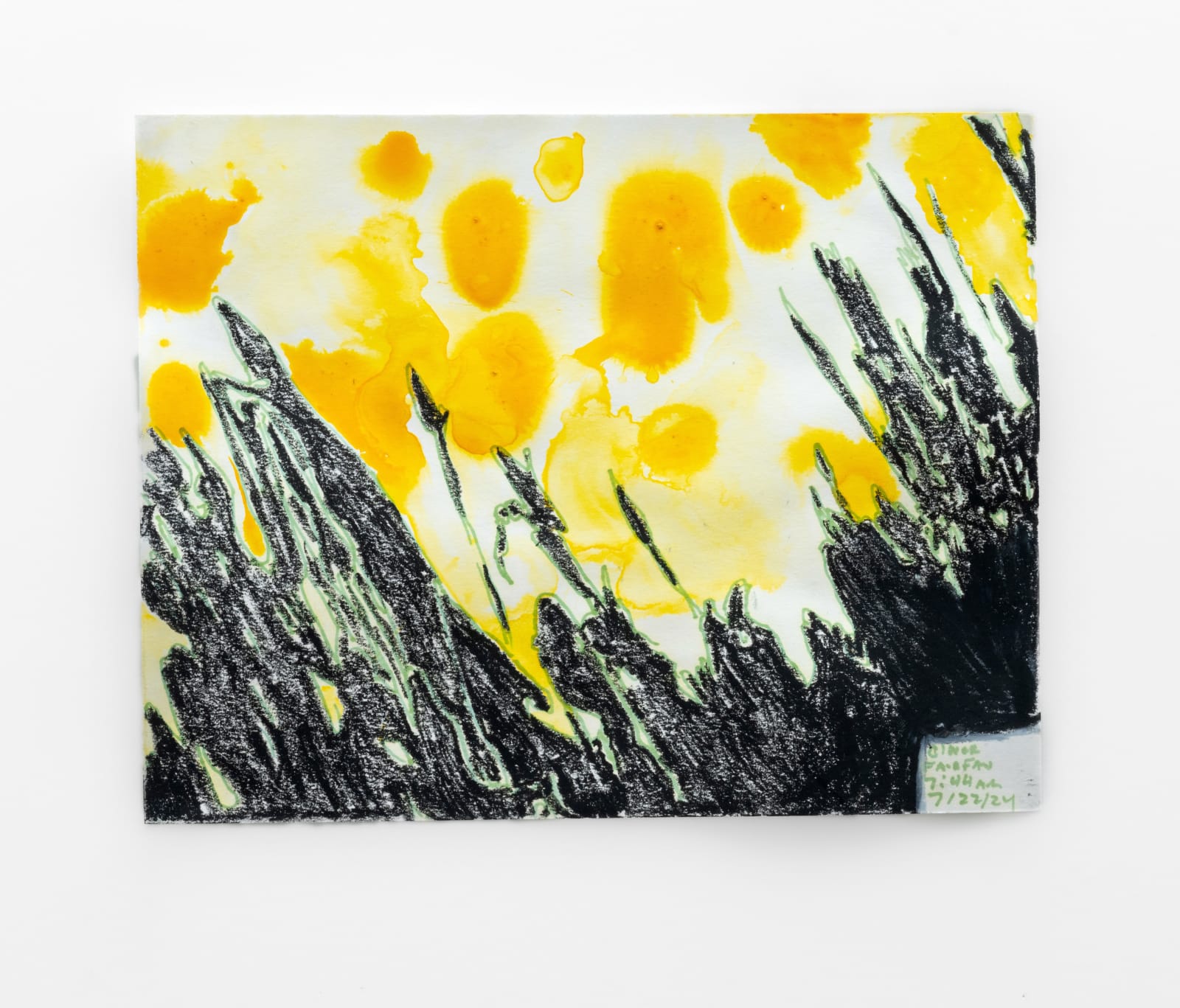 Carroll Swenson-Roberts, Clover, 2025