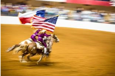 Rima Canaan Lee, Flags, 2014