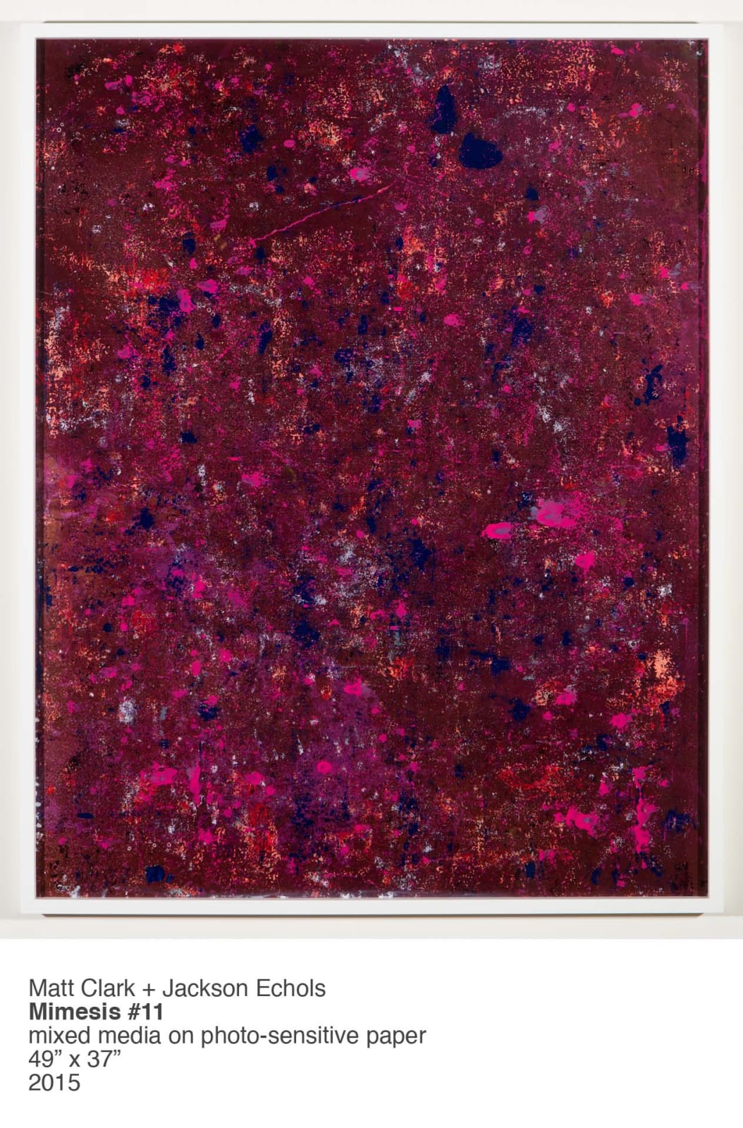 Matt Clark and John Echols, Mimesis #11, 2015