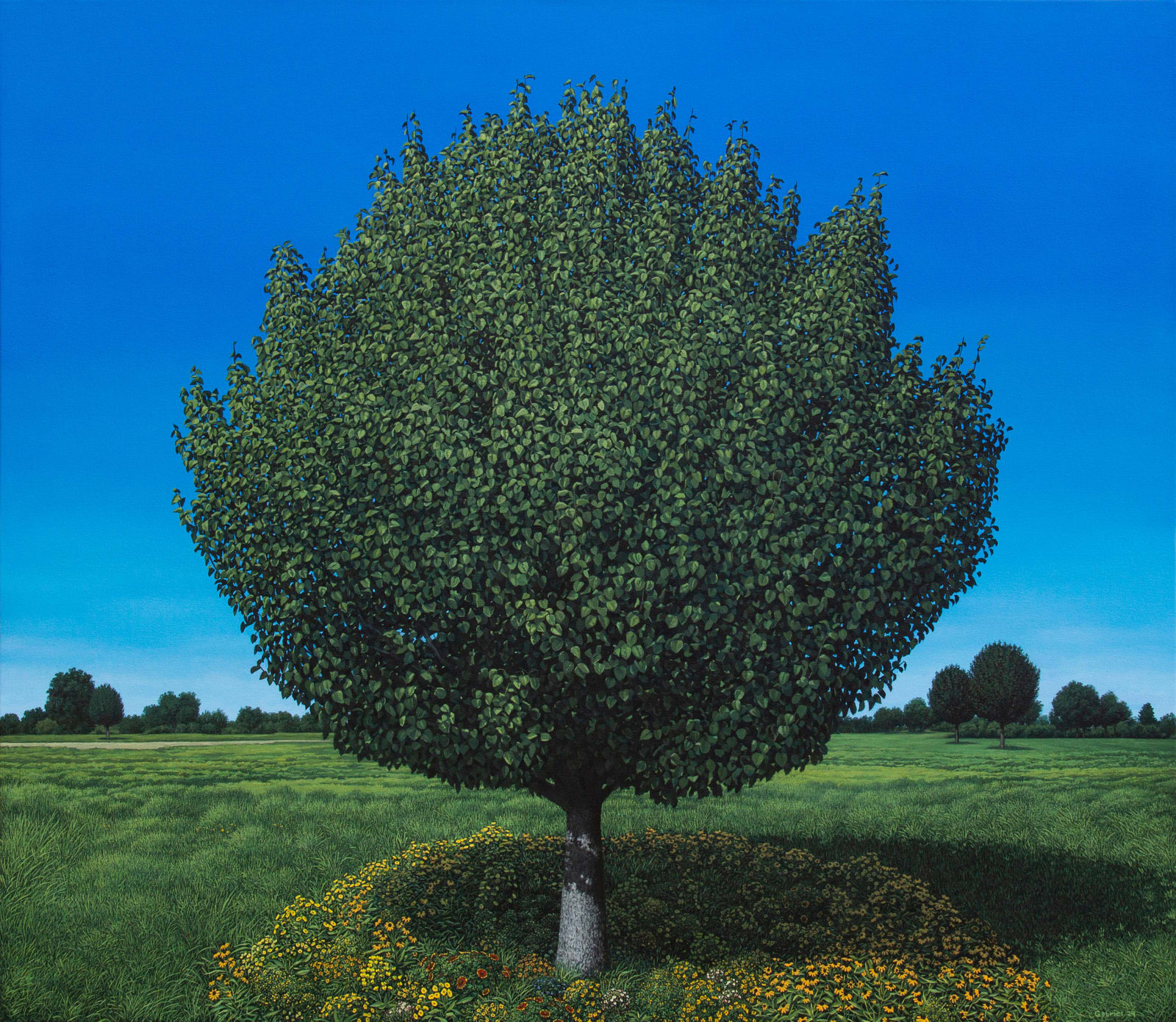 Pat Gabriel, Summer Tree, 2024